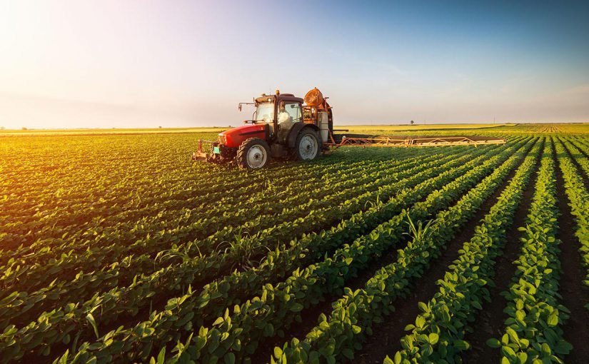 “Argentina está muy expuesta a los problemas internacionales por depender demasiado de la agricultura”